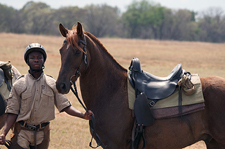 South Africa-Waterberg/Mashatu-African Explorer Horse Safari